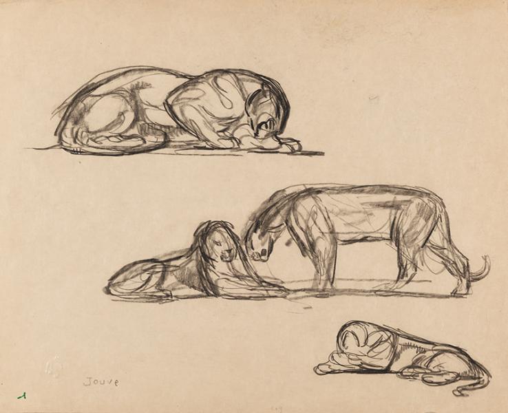 Esquisse de panthères