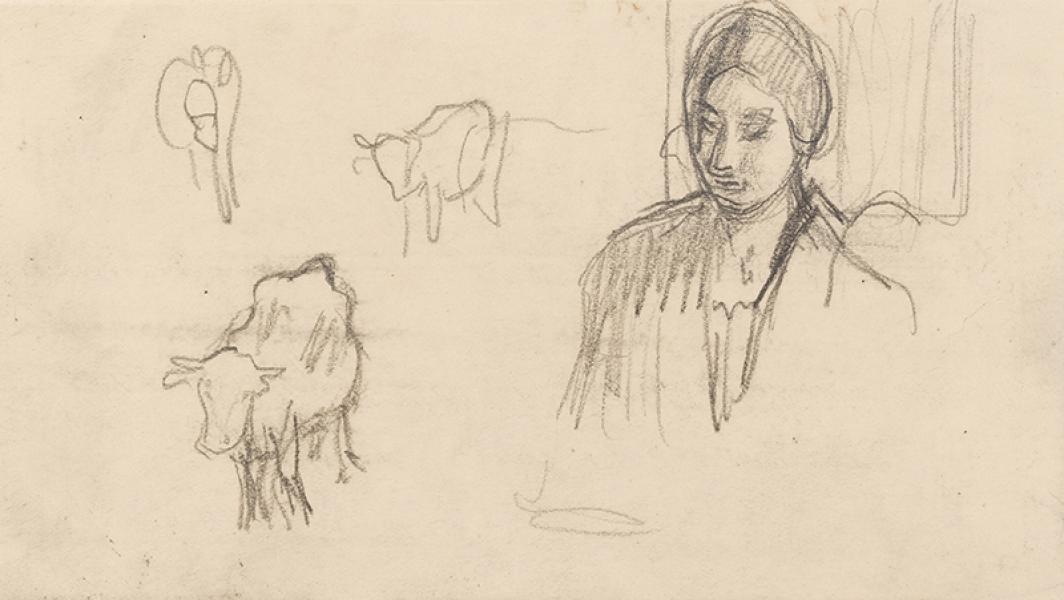 Etudes : femme et vaches